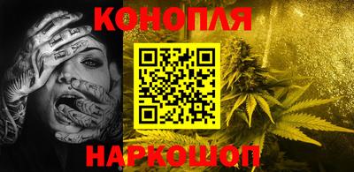 Альфа ПВП Новодвинск