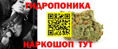 Альфа ПВП Новодвинск