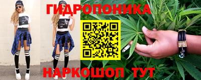 Альфа ПВП Новодвинск