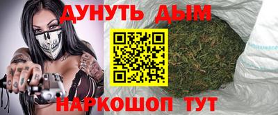 Альфа ПВП Новодвинск