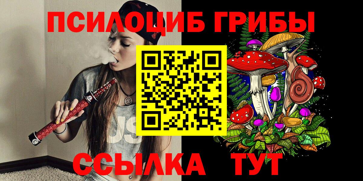 наркота  Псилоцибиновые грибы Psilocybe  Вход с VPN  Рославль 